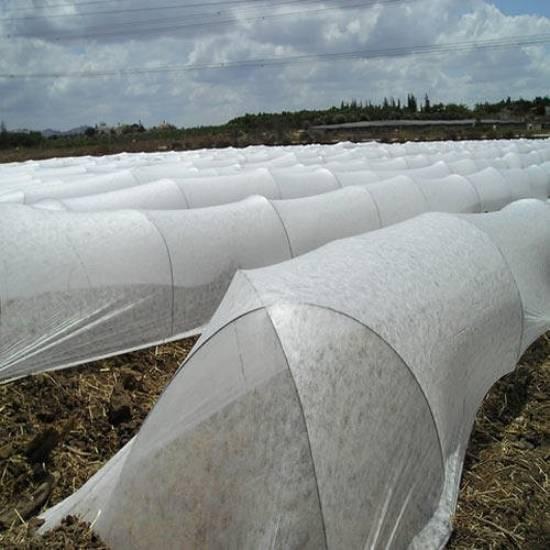 Plant protection/Greenhouse shading/Weed control fabrics